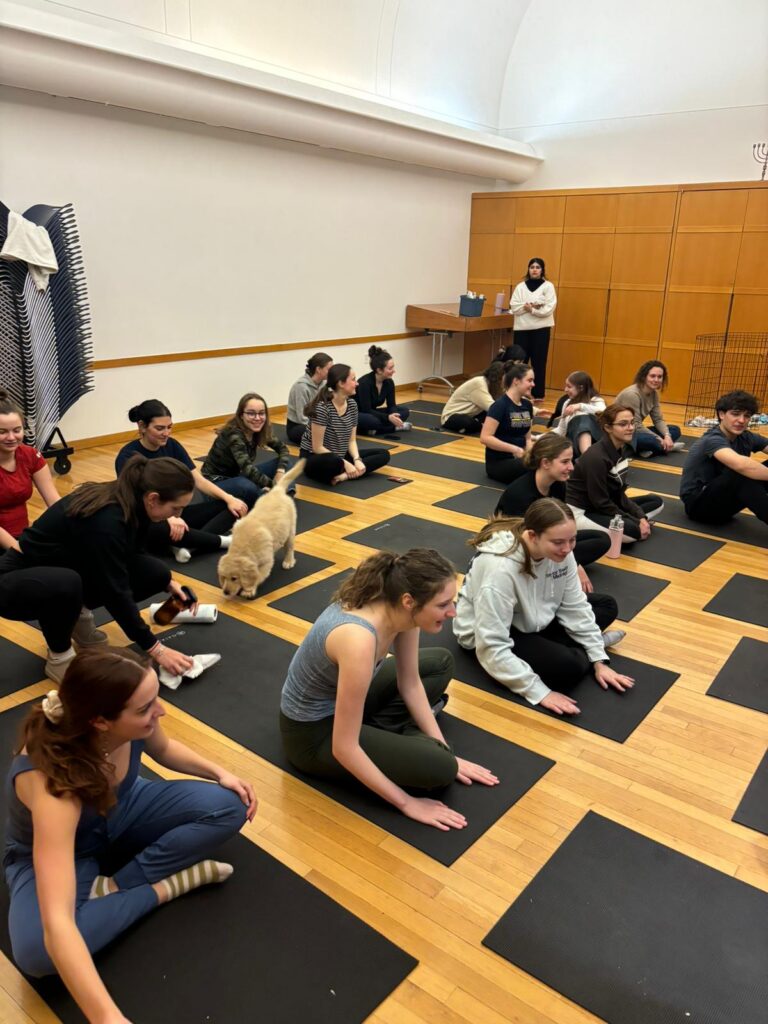 Whatsapp Image 2025 02 03 At 19.11.07 47bfc9b1