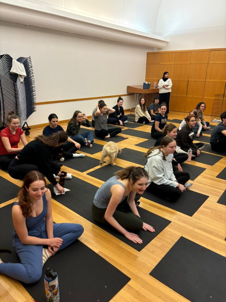 Whatsapp Image 2025 02 03 At 19.11.07 6c7a6d78