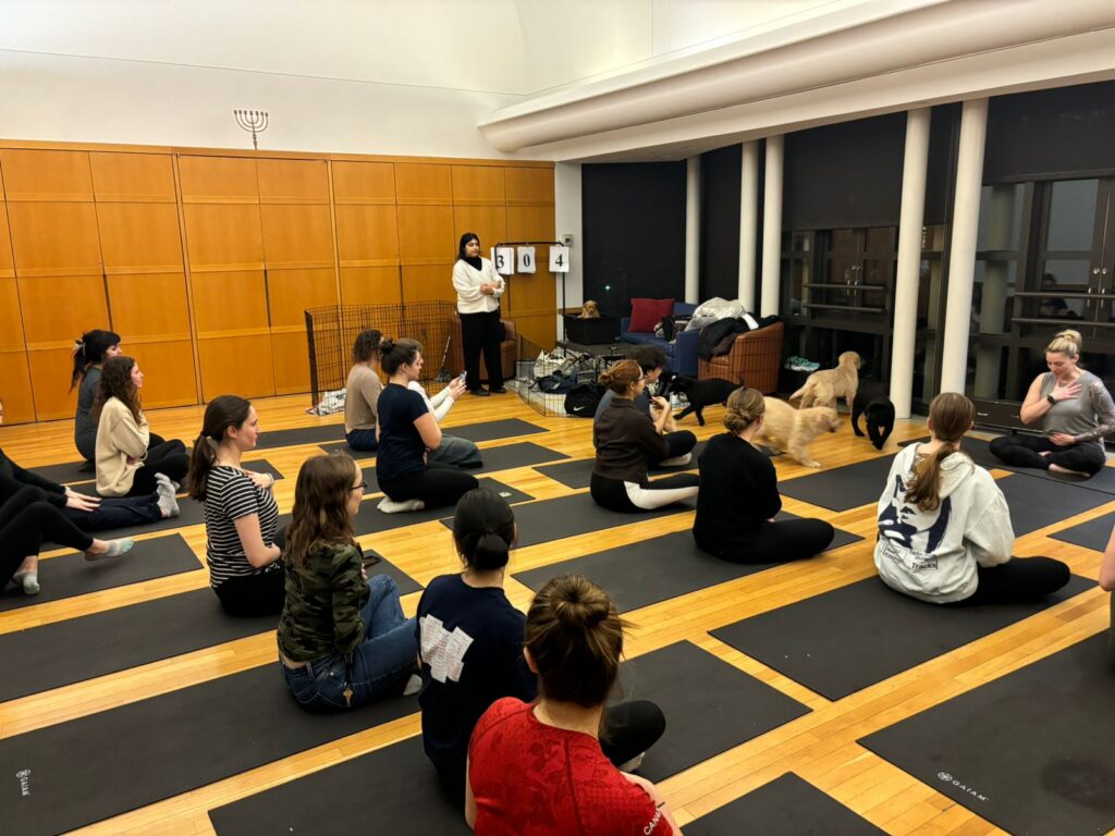 Whatsapp Image 2025 02 03 At 19.11.07 Efbf4153