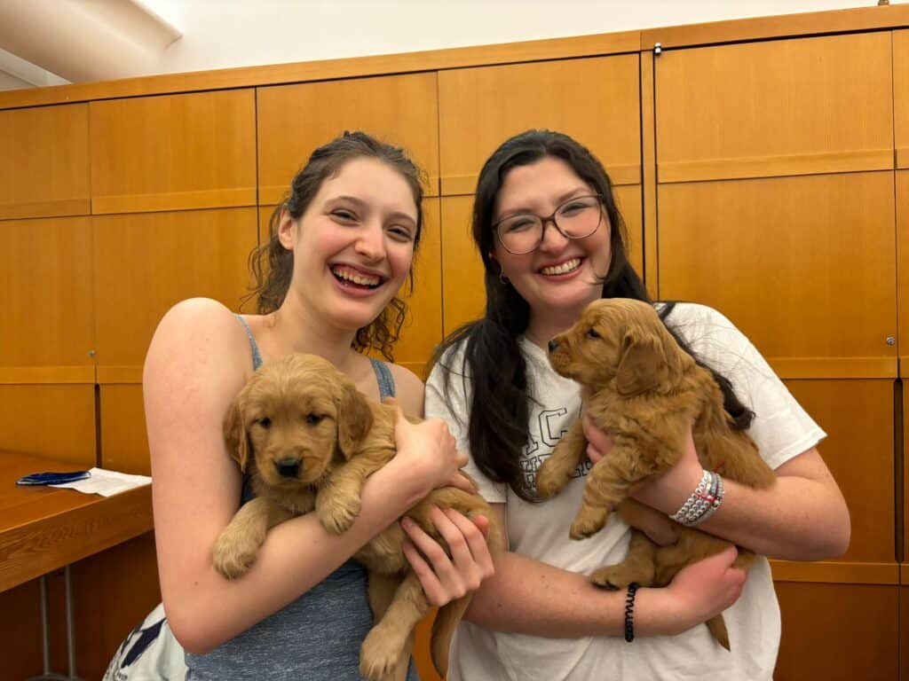 Whatsapp Image 2025 02 03 At 19.12.07 E368f119