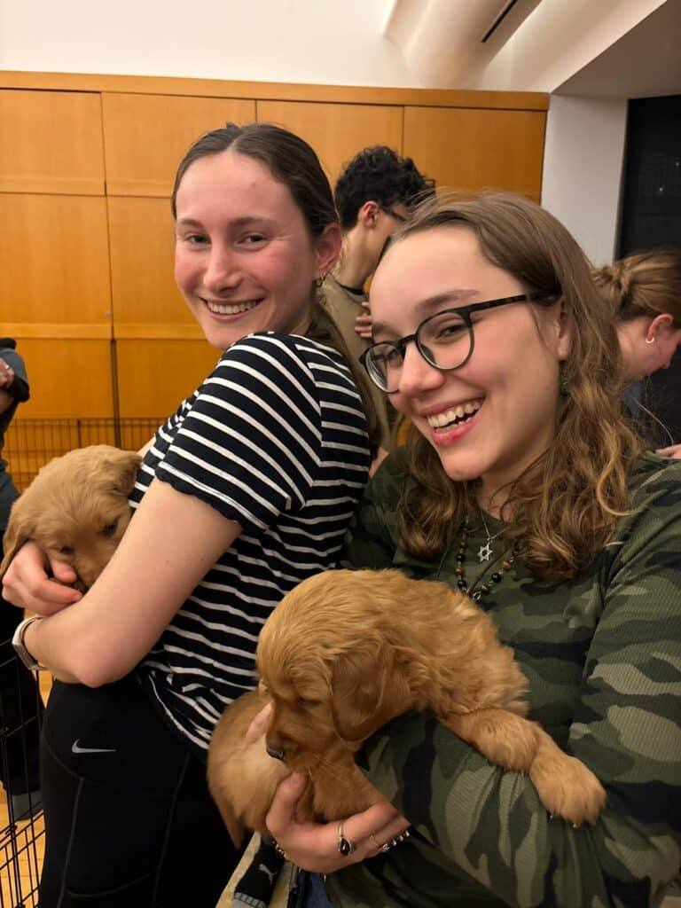 Whatsapp Image 2025 02 05 At 14.19.42 9042db9f