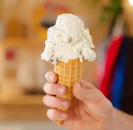 Homemade Ice Cream 03 Edited Scaled